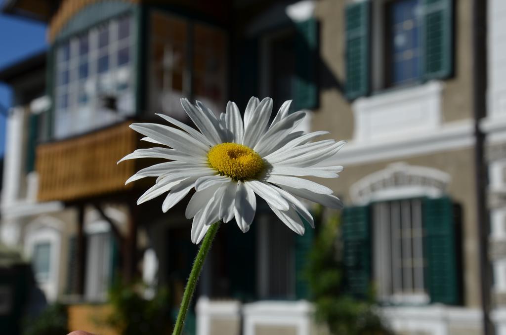 Haus Moser Oblarn Luaran gambar